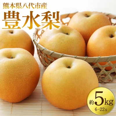 豊水梨 約5kg(6～22玉)_171-3101-D