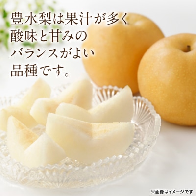 【先行予約】豊水梨 約5kg(6～22玉)【2026年8月中旬より順次発送】_171-3101-D