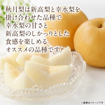 【先行予約】秋月梨 約5kg(6～22玉)【2026年8月下旬より順次発送】_171-4411-D
