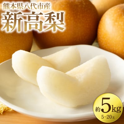 【先行予約】新高梨 約5kg(5～20玉) 【2026年9月中旬より順次発送】_171-4412-D