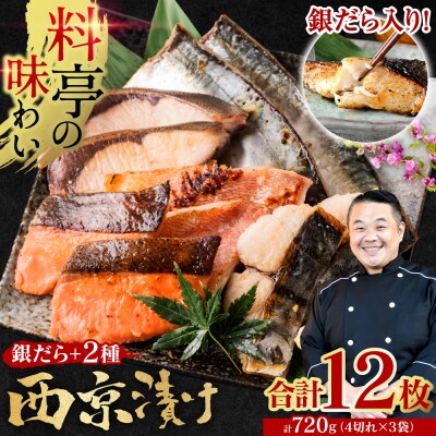 【訳あり】 厳選 鮮魚 西京漬け 720g 銀だら入り 12枚 4切れ×3袋_169-5196-B