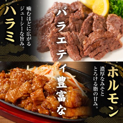 【訳あり】焼肉セット5種盛り計1.7kg_233-4611-B