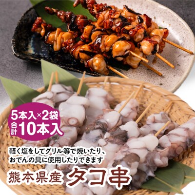 熊本県八代市産 タコ串 合計10本入り 5本入×2袋_018-4622-B