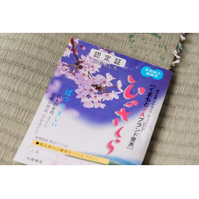 八代産 高級 畳表「ひのさくら」2帖 ※張替えのみ  畳 張替え 表替え 畳表_020-4358