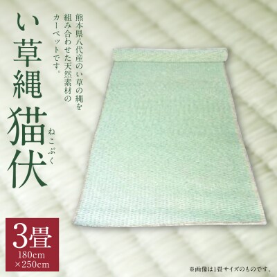 い草縄 猫伏(3畳)1,800mm×2,500mm カーペット ラグ_025-5074