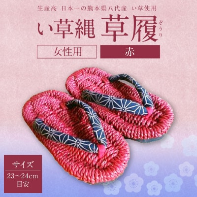 い草縄 草履(ぞうり)女性用(赤)サイズ(23～24cm目安)_025-5080