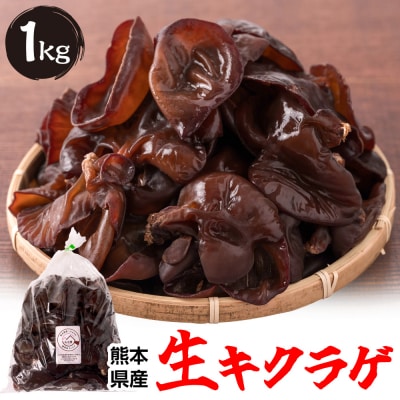 熊本県産 生キクラゲ 1kg きくらげ_103-4696-B