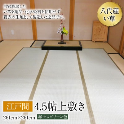 い草 上敷き 江戸間 4.5帖 261cm×261cm 縁モスグリーン色_032-4442-A