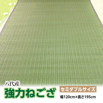 強力ねござ【セミダブルサイズ】幅120cm×長さ195cm 八代市産_032-4702