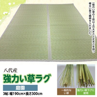 強力い草ラグ【庭園】3帖 幅190cm×長さ300cm 八代市産_032-4709
