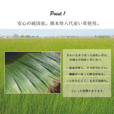 い草ネゴザ(白水)BL 88×180cm  シーツ 寝具 寝ござ 調湿 敷布団_022-4477-A