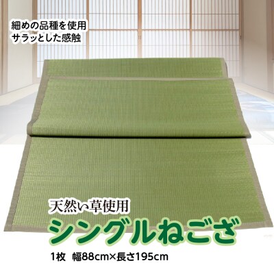 い草 シングルねござ 幅88cm×長195cm イグサ 畳 敷物_032-4910-D