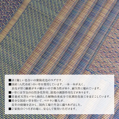熊本県八代市産のい草を使って織り上げたござ『DXオルシャ』140cm×200cm_022-6483