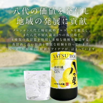 八代不知火蔵「八つ星・和柑橘(クラフトジン)」700ml×2本_133-6474