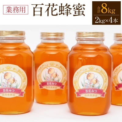 八代市 はちみつ 業務用 百花蜂蜜 2kgビン×4本セット 計8kg_058-5189