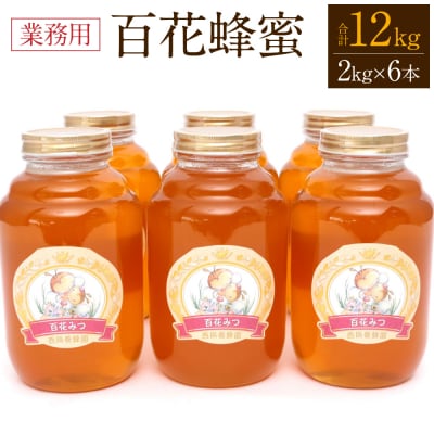 八代市 はちみつ 業務用 百花蜂蜜 2kgビン×6本 セット 計12kg_058-5190