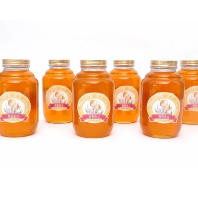 八代市 はちみつ 業務用 百花蜂蜜 2kgビン×6本 セット 計12kg_058-5190