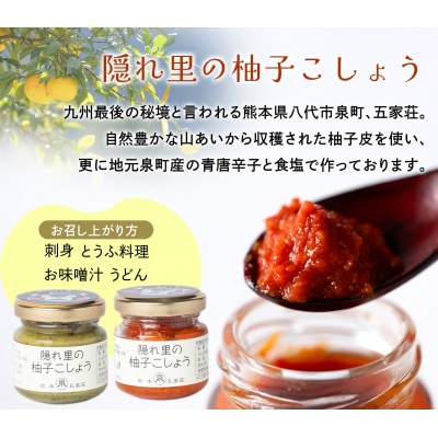 いずみ調味料セット(柚子こしょう 青唐辛子にんにく ゆずポン酢など)_063-5081-A