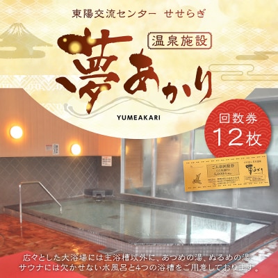 東陽交流センターせせらぎ 温泉施設夢あかり 回数券 12枚 チケット_065-4584