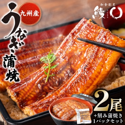 鰻丸(うなまる) 九州産 うなぎ蒲焼き2尾 & 刻み蒲焼き1パックセット_073-6540