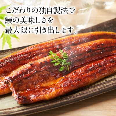 蒲焼き 2尾 白焼き 2尾 刻み蒲焼き 4PCセット うなぎ_073-6542