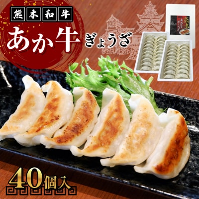 熊本和牛あか牛ぎょうざセット(熊本あか牛餃子20個入り×2箱)_153-4376-B