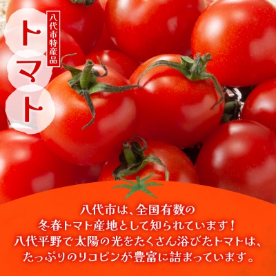 晩白柚ペースト「マキシト」&トマトピューレ「リコプレン」セット_189-4165-D