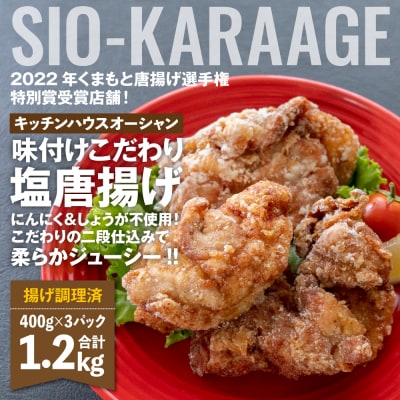 味付け こだわり 塩唐揚げ  計1.2kg ジューシー お肉 唐揚げ_223-4949-B