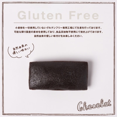 グルテンフリー国産大豆フィナンシェショコラ20個セット_242-4551-B