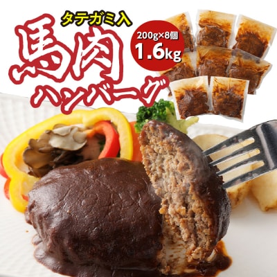 FN タテガミ入り 馬肉 ハンバーグ ( デミソース ) 8個 200g×8個_147-2227-C