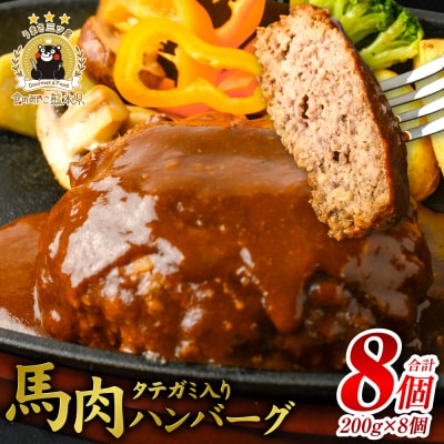 FN タテガミ入り 馬肉 ハンバーグ ( デミソース ) 8個 200g×8個_147-2227-C