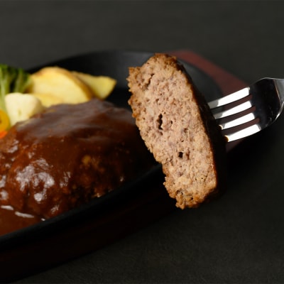 FN タテガミ入り 馬肉 ハンバーグ ( デミソース ) 8個 200g×8個_147-2227-C