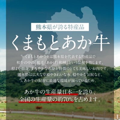 【6ヶ月定期便】あか牛ステーキ食べ比べ_153-4397-A
