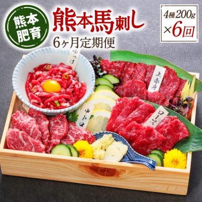 【定期便6回】熊本馬刺し 馬刺し4種 200g×6ヵ月 馬肉 熊本名物_168-6457