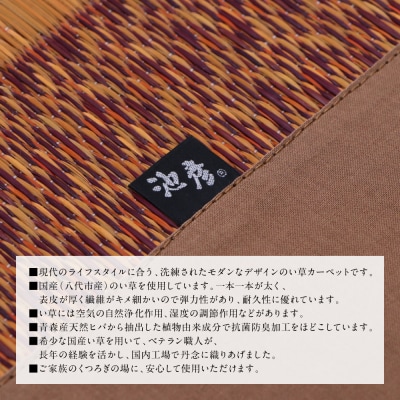 い草を使って織り上げたラグ『DXランクス』140cm×200cm:ワイン_022-6499