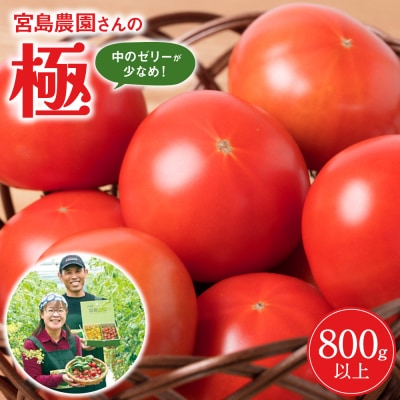最高峰 トマト 極 800g 八代市産 宮島農園 甘い 野菜 やさい_039-4619-C