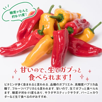 パプリカ ガブリエル 1kg 八代市産 宮島農園 野菜 新鮮野菜 緑黄色野菜_039-4620-D