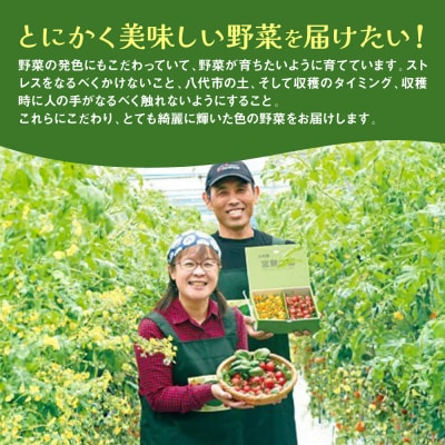 パプリカ ガブリエル 1kg 八代市産 宮島農園 野菜 新鮮野菜 緑黄色野菜_039-4620-D