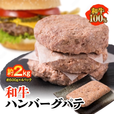 九州産 和牛ハンバーグ パテ 計約2kg(約500g×4パック)_047-4874-D