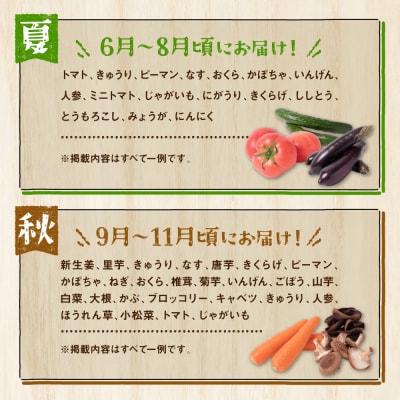 旬の農産物詰合せ 7品以上 おたのしみセット_065-2336-C