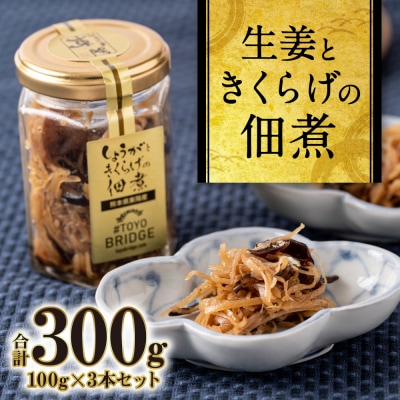 生姜ときくらげの佃煮 3本セット 生姜_065-4001-D