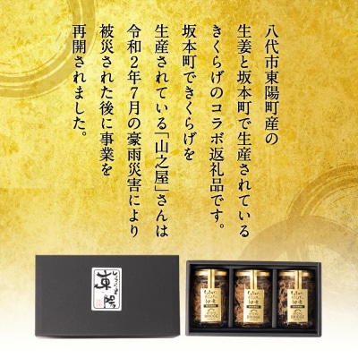 生姜ときくらげの佃煮 3本セット 生姜_065-4001-D