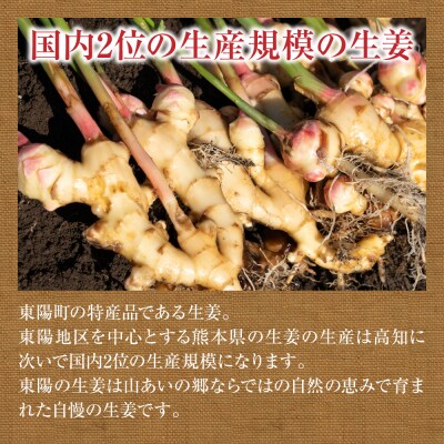 【先行予約】 熊本県八代市産 新生姜1kg【2026年9月上旬より順次発送】_065-4269-A