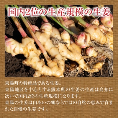 熊本県八代市産 新生姜1kg_065-4269-A
