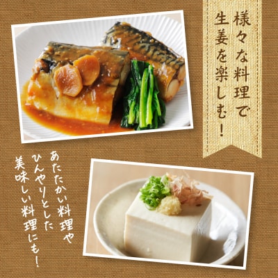 【先行予約】 熊本県八代市産 新生姜1kg【2026年9月上旬より順次発送】_065-4269-A