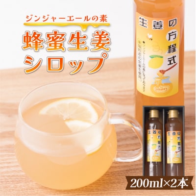 生姜の方程式 合計400ml (200ml×2本) 蜂蜜生姜シロップ_065-4713-C