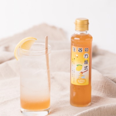 生姜の方程式 合計400ml (200ml×2本) 蜂蜜生姜シロップ_065-4713-C