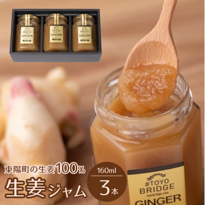 東陽町の生姜100% 生姜ジャム3本セット合計480ml (160ml×3本)_065-4922-C