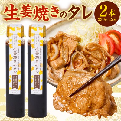 生姜焼きのたれ 2本セット_065-6678