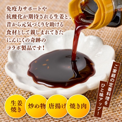 生姜焼きのたれ 2本セット_065-6678